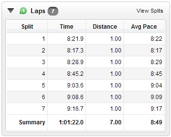 7 Mile - Lap Times