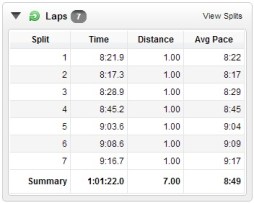 7 Mile - Lap Times
